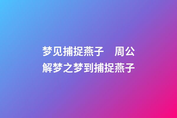 梦见捕捉燕子　周公解梦之梦到捕捉燕子